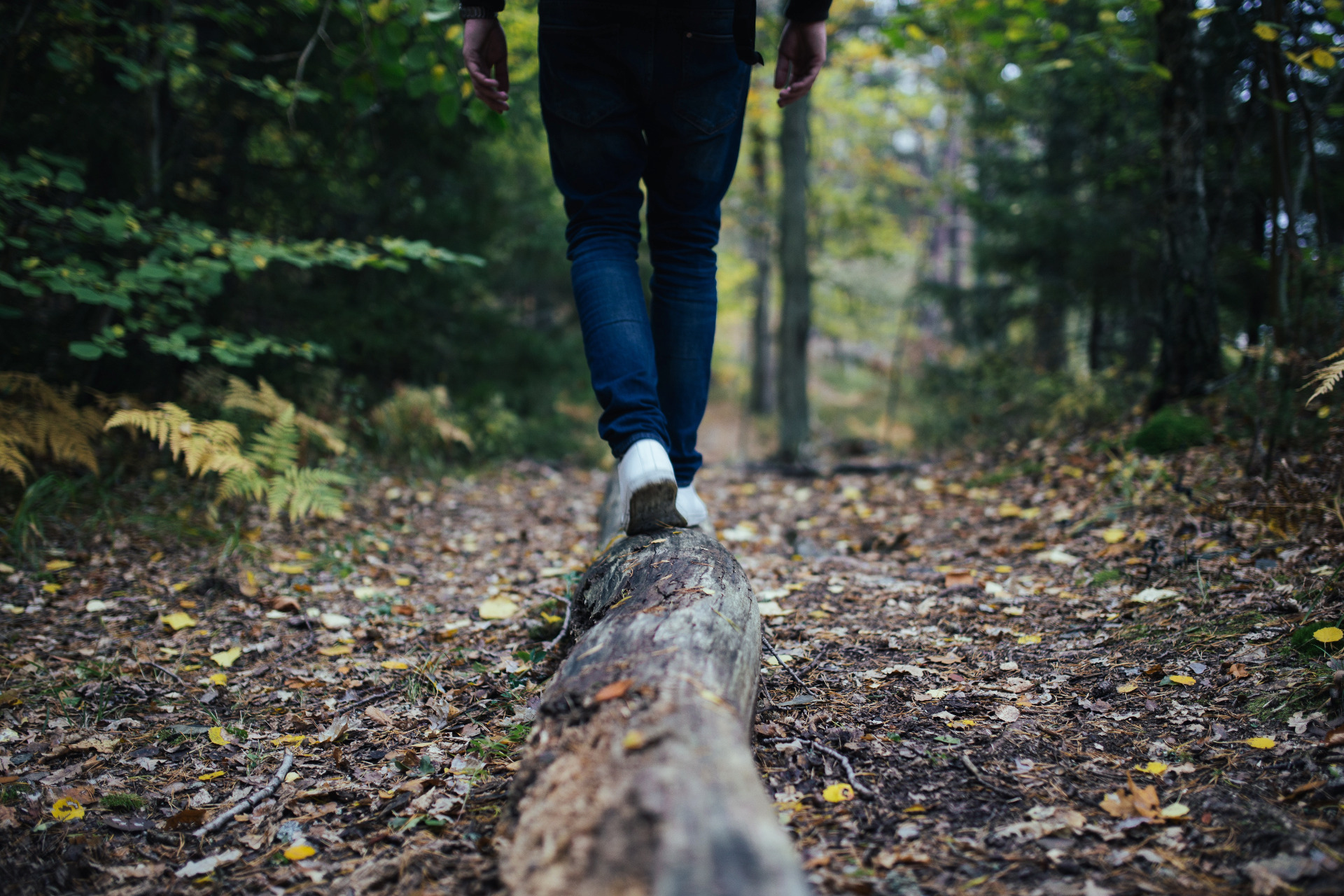 Balancing, man walking along a fallen lof in the forest